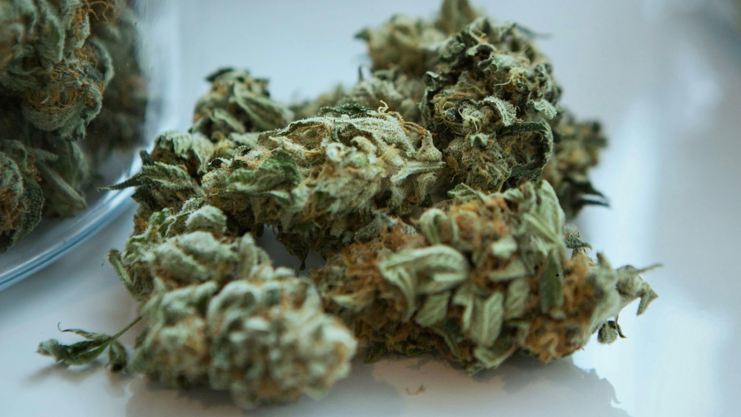 🚨 RED BANK SMOKE SHOP BUSTED: OWNER & EMPLOYEE NABBED WITH 25+ LBS OF WEED NEAR SCHOOL 🚨