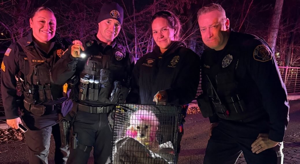 GARFIELD POLICE RESCUE PINK POODLE MOLLY AFTER DARING PASSAIC RIVER SWIM