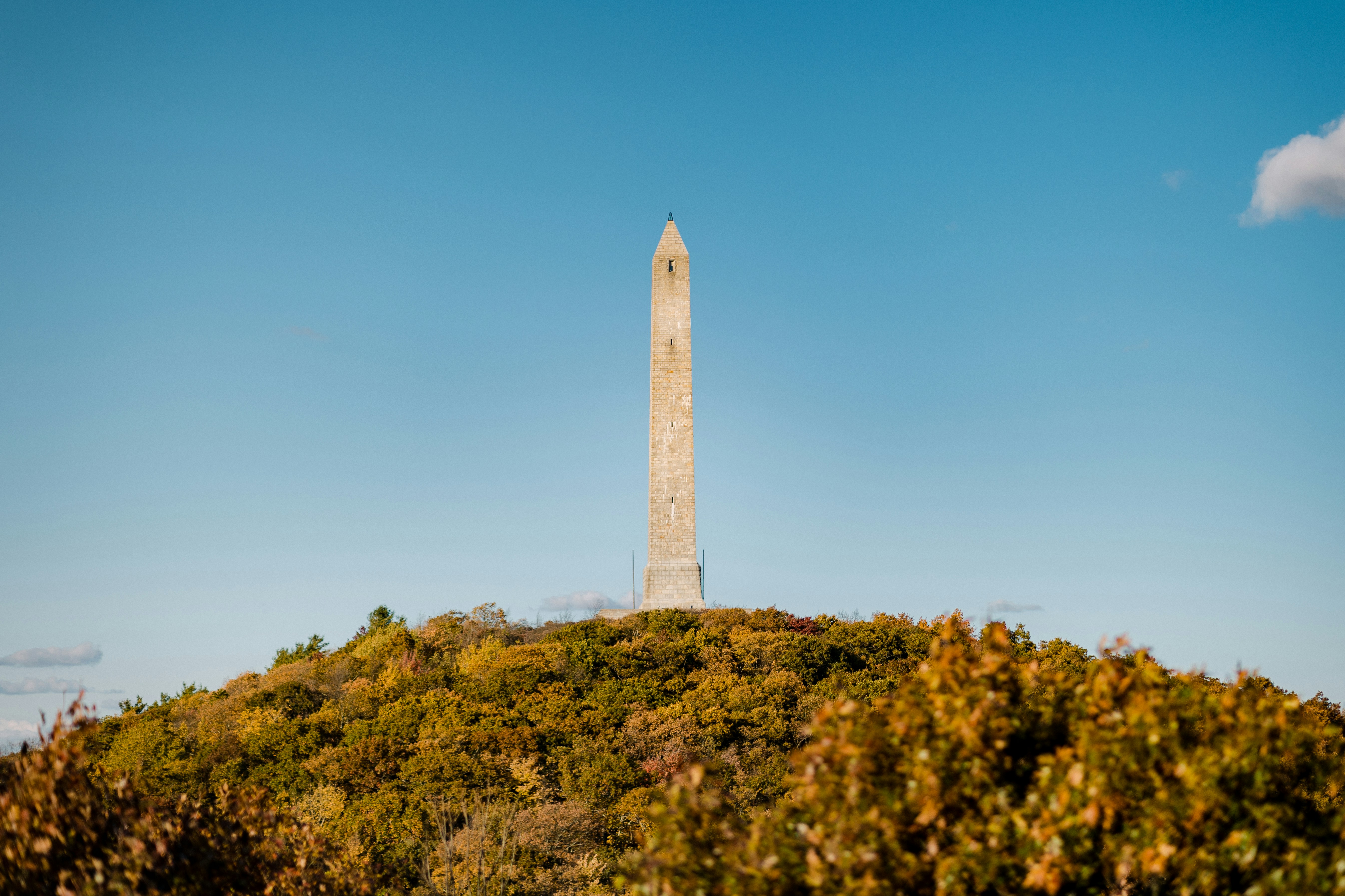 6 Best New Jersey State Parks for Hiking, Ranked by Trail Experience