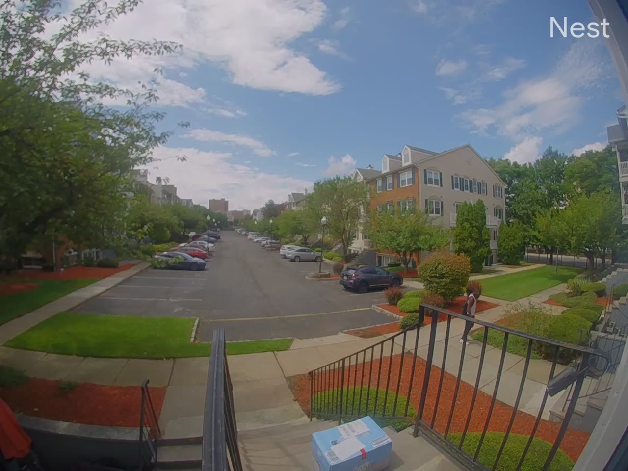 Newark Porch Pirate