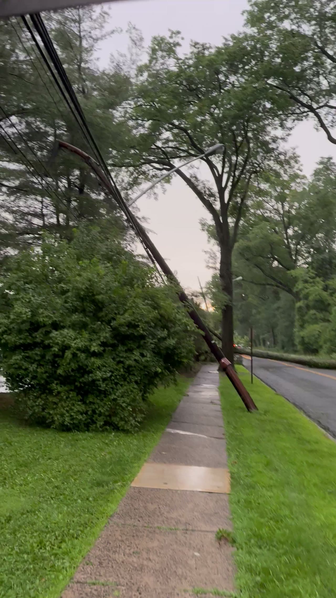 Massive Tree Down in Millburn, NJ